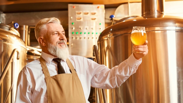 Brewery Equipment: Unleashing the Liquid Alchemy!