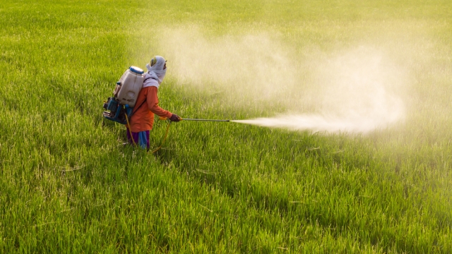 Unlocking the Power of Organic Soils & Fertilizers: A Greener Path to Thriving Gardens