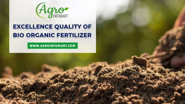 Building a Greener Garden: Unveiling the Power of Organic Soil and Fertilizer