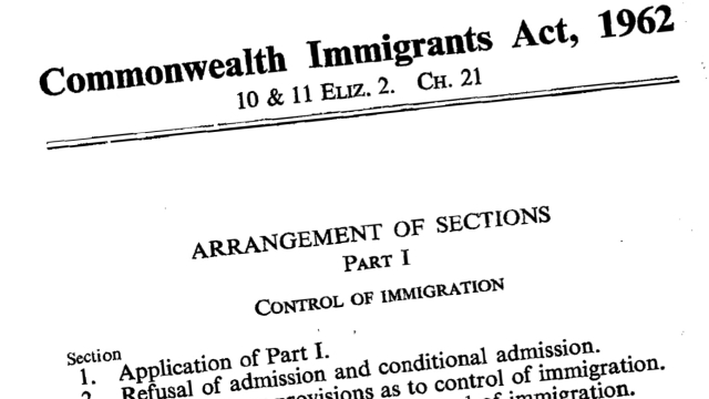 Navigating the Immigration Maze: Understanding the Laws and Processes