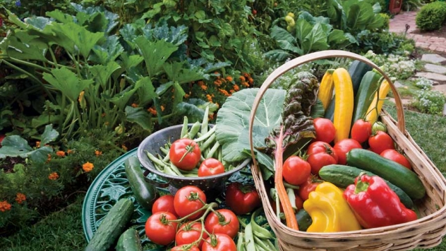 Blooming with Green Fingers: Mastering the Art of Organic Gardening