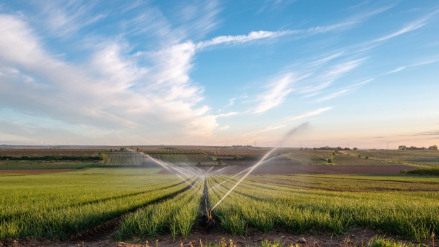 Sprinkling Success: Unveiling the Secrets of Efficient Irrigation Installers