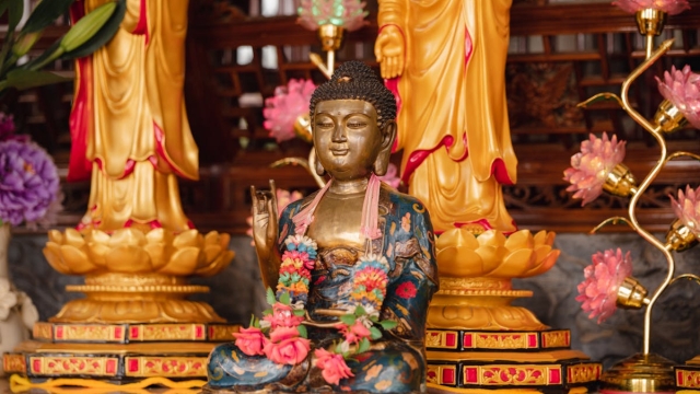 Decoding Life’s Mysteries: Spiritual Meanings Unveiled