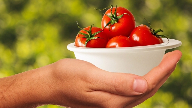 Understanding the Basics of Meal Prep
