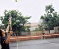 Exploring Successful Padel Court Collaborations Case Studies