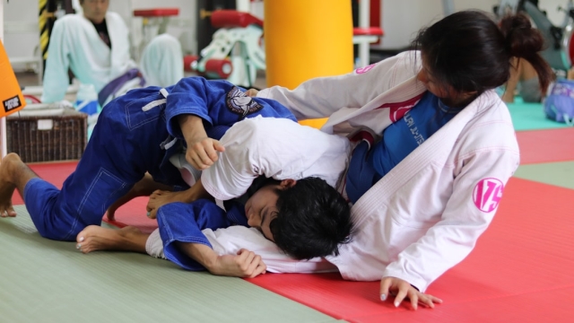 Overview of Martial Arts Training Benefits and Styles