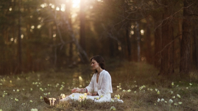 Overview of Couples Therapy Benefits and What to Expect