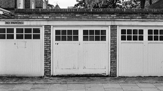 Types of Pet Access Solutions Exploring Pet Doors and More