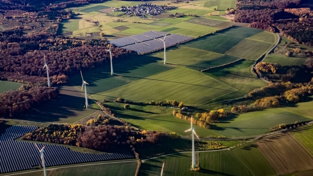 Physical Recovery Techniques Best Practices for Post Workout Recovery