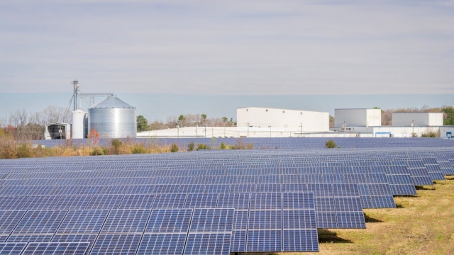 Understanding the Basics of Solar Energy Investment
