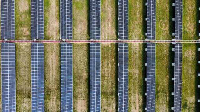The Importance of Backup Generators for Chicago Residents